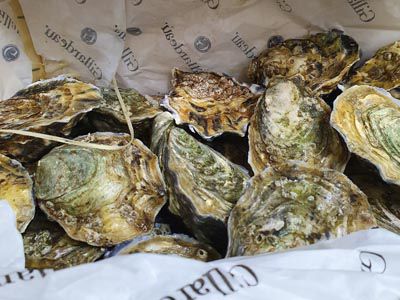 Formation cuisine dans une poissonnerie en Dr&ocirc;me