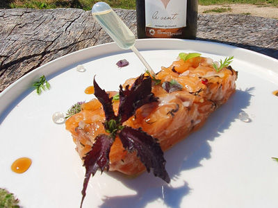 Formation en nouvelles techniques de cuisine (Vercors)